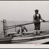 Oyster tonger. Wicomico River, Maryland.