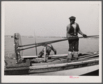 Oyster tonger. Wicomico River, Maryland.