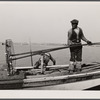 Oyster tonger. Wicomico River, Maryland.
