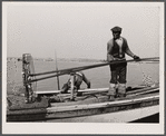 Oyster tonger. Wicomico River, Maryland.