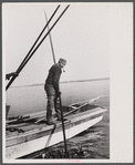Oyster tonger, Rock Point, Maryland.