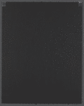 The Nutcracker