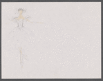 The Nutcracker