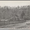 Tennessee farm.