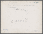 Completed Cumberland Homestead house being used as an office by the Homesteads, Crossville, Tennessee.