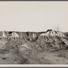 Erosion gully on Coalins Forest and Game Reservation between Tennessee and Cumberland Rivers in Kentucky.