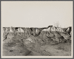 Erosion gully on Coalins Forest and Game Reservation between Tennessee and Cumberland Rivers in Kentucky.
