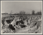 Erosion on Coalins Forest and Game Reservation between Cumberland and Tennessee Rivers in Kentucky.