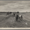 At work on the bed of the railroad spur to join the Milwaukee Electric Railway & Light Company to the Greendale Suburban Resettlement  Project near Milwaukee. This is but a temporary supply line.