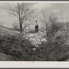 Erosion control, showing check dam and brush at the Pere Marquette recreational project, near Grafton, Illinois.