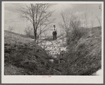 Erosion control, showing check dam and brush at the Pere Marquette recreational project, near Grafton, Illinois.