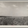 Lake of Ozarks from bluff above Highway 54 looking west. Missouri.