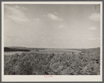 Lake of Ozarks from bluff above Highway 54 looking west. Missouri.