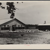 Rehabilitation client and laying house built with rehabilitation funds. Dent County, Missouri.