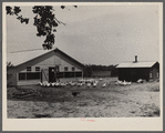 Rehabilitation client and laying house built with rehabilitation funds. Dent County, Missouri.