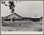 Rehabilitation client and laying house built with rehabilitation funds. Dent County, Missouri.