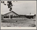 Rehabilitation client and laying house built with rehabilitation funds. Dent County, Missouri.