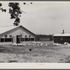 Rehabilitation client and laying house built with rehabilitation funds. Dent County, Missouri.