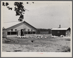 Rehabilitation client and laying house built with rehabilitation funds. Dent County, Missouri.