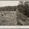 Rail fence and cut-over country. Meramec Forest area. Salem, Missouri.