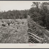 Rail fence and cut-over country. Meramec Forest area. Salem, Missouri.
