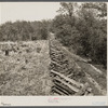 Rail fence and cut-over country. Meramec Forest area. Salem, Missouri.