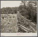 Rail fence and cut-over country. Meramec Forest area. Salem, Missouri.