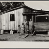 A sharecropper's family in Mississippi County, Missouri.