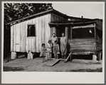 A sharecropper's family in Mississippi County, Missouri.
