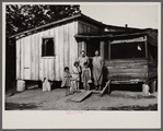 A sharecropper's family in Mississippi County, Missouri.