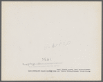 Marion Hills, rehabilitation client, and dual purpose cattle purchased with rehabilitation loan. Center County, Iowa.