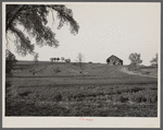 An Iowa farm scene. Fifteen miles north of Des Moines, Iowa.
