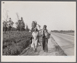 "Damned if we'll work for what they pay folks hereabouts." Crittenden County, Arkansas. Cotton workers on the road, carrying all they possess in the world.