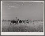 Harvesting fall wheat in Arkansas near Little Rock.