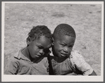 Children of Negro sharecropper. Near West Memphis, Arkansas.