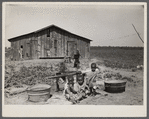 Children of Negro sharecropper at pump. Near West Memphis, Arkansas.