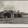 Poorer houses in the outskirts of Decatur, Indiana, where many of the homesteaders came from.