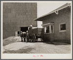 Weighing in at elevator before unloading corn. Near Rising, Illinois.