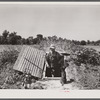 Rehabilitation Administration client standing in opening of storm cellar which is used also to store hundreds of cans of food. Near Batesville, Arkansas.