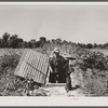 Rehabilitation Administration client standing in opening of storm cellar which is used also to store hundreds of cans of food. Near Batesville, Arkansas.