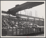 Steel manufacture, Allegheny-Ludlum. Back into production go these carloads of scrap metal. The melting of alloy steels for defense work requires that steel mill scrapyards such as this be constantly filled.