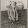 Women in war. Agricultural workers. With the nation's manpower swelling the ranks of the armed forces, women must step into many new occupations in both urban and rural life.