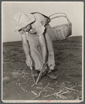 Women in war. Agricultural workers. With the nation's manpower swelling the ranks of the armed forces, women must step into many new occupations in both urban and rural life.