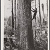 Equipment of the high climber. Washington.