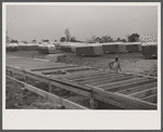 Trailer camp for defense workers at Vultee Aircraft Plant. Nashville, Tennessee.