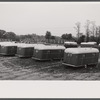 Trailer camp for defense workers at Vultee Aircraft Plant. Nashville, Tennessee.