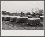 Trailer camp for defense workers at Vultee Aircraft Plant. Nashville, Tennessee.