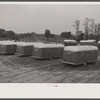 Trailer camp for defense workers at Vultee Aircraft Plant. Nashville, Tennessee.