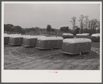 Trailer camp for defense workers at Vultee Aircraft Plant. Nashville, Tennessee.