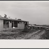 Trailer camp for defense workers at Vultee Aircraft Plant. Nashville, Tennessee.